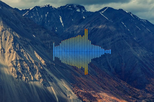 Visualizer
